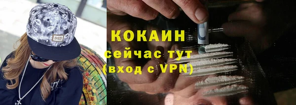 ПСИЛОЦИБИНОВЫЕ ГРИБЫ Новозыбков