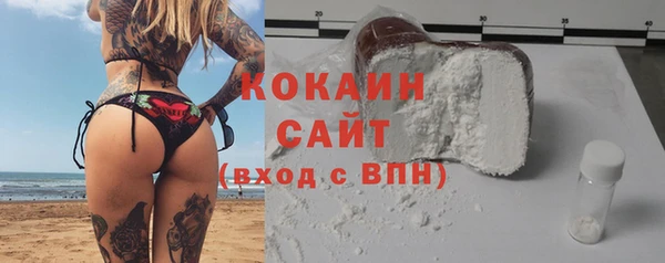 ПСИЛОЦИБИНОВЫЕ ГРИБЫ Новозыбков