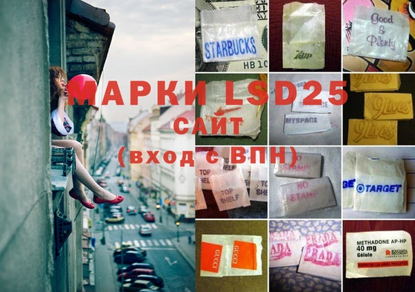 ПСИЛОЦИБИНОВЫЕ ГРИБЫ Новозыбков