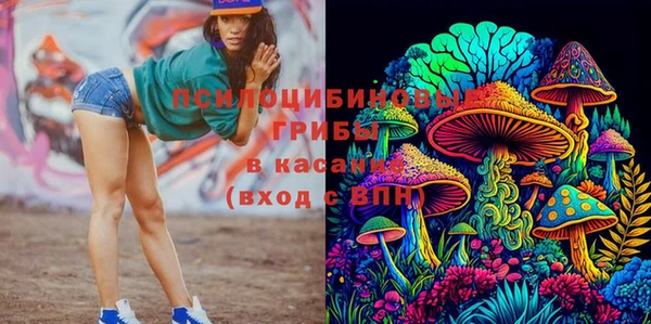 спайс Нефтекумск