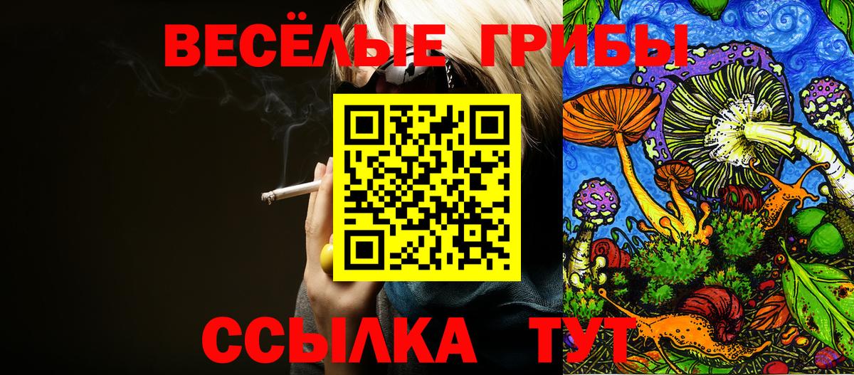 Галлюциногенные грибы GOLDEN TEACHER  Галлюциногенные грибы ЛСД  Асино 