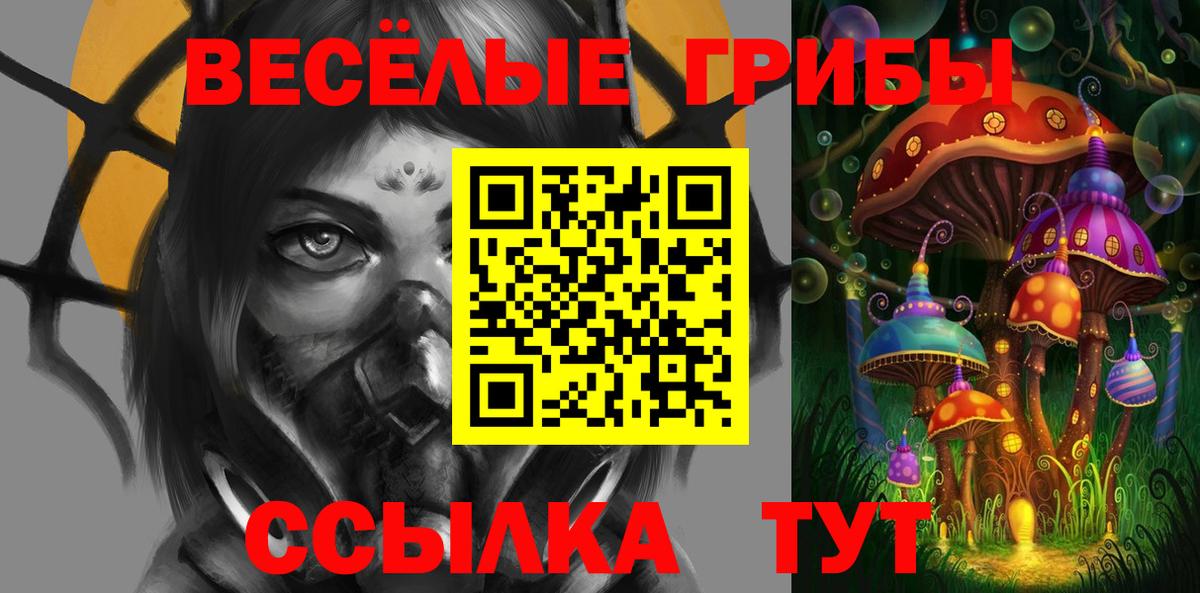 Асино  где продают   Вход с VPN  Псилоцибиновые грибы Cubensis  Псилоцибиновые грибы ЛСД 